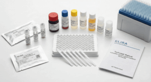 Despliegue de los componentes de un Kit ELISA comercial sobre una mesa de laboratorio: microplaca de 96 pocillos, botellas de reactivos (tampones, sustrato), estándares liofilizados y manual técnico.